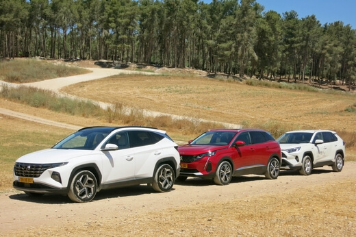 מבחן ג'יפונים